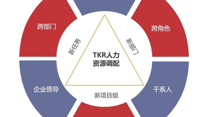 人事代理：企业用工合规的得力助手**